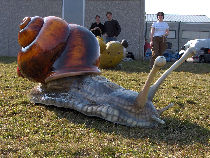 Sculpture en polyester : Escargot dans la prairie.