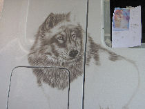 Esquisse d'un loup polaire pour cette peinture personnalisée sur la cabine du camion.